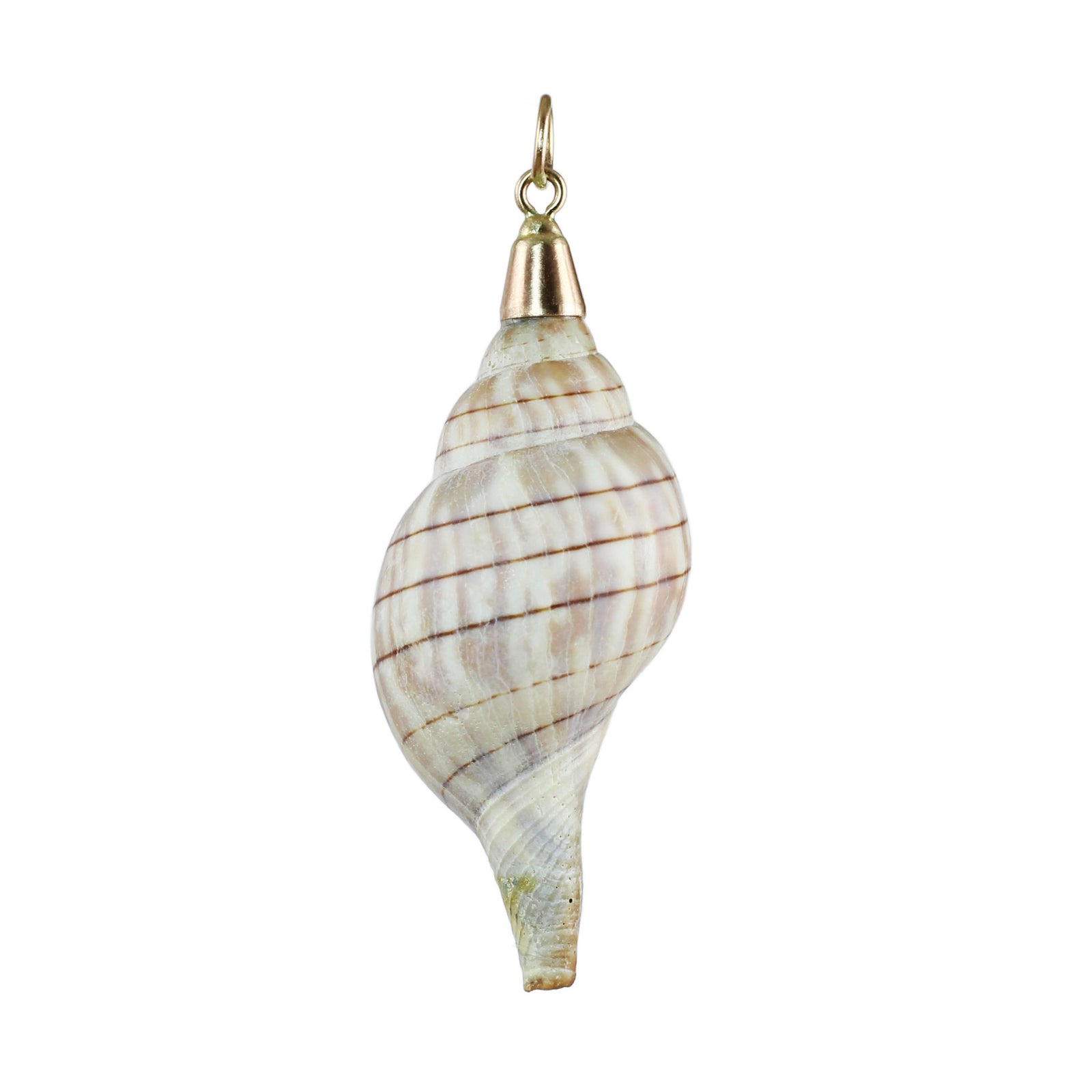 Spiral Shell Pendant with 14k Gold