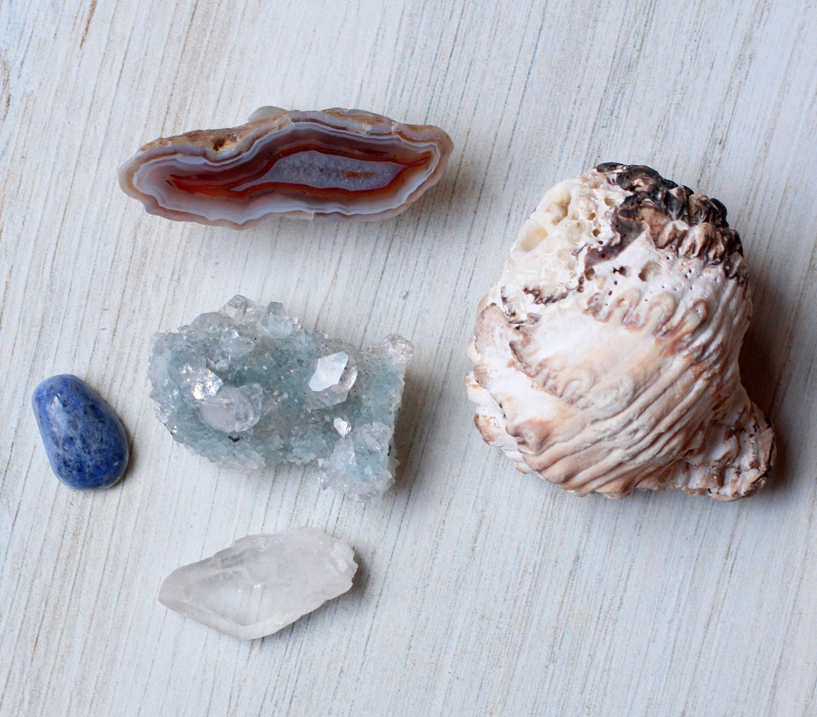 Inner Ocean: A Crystal & Shell Set for Clarity, Intuition & Grounding