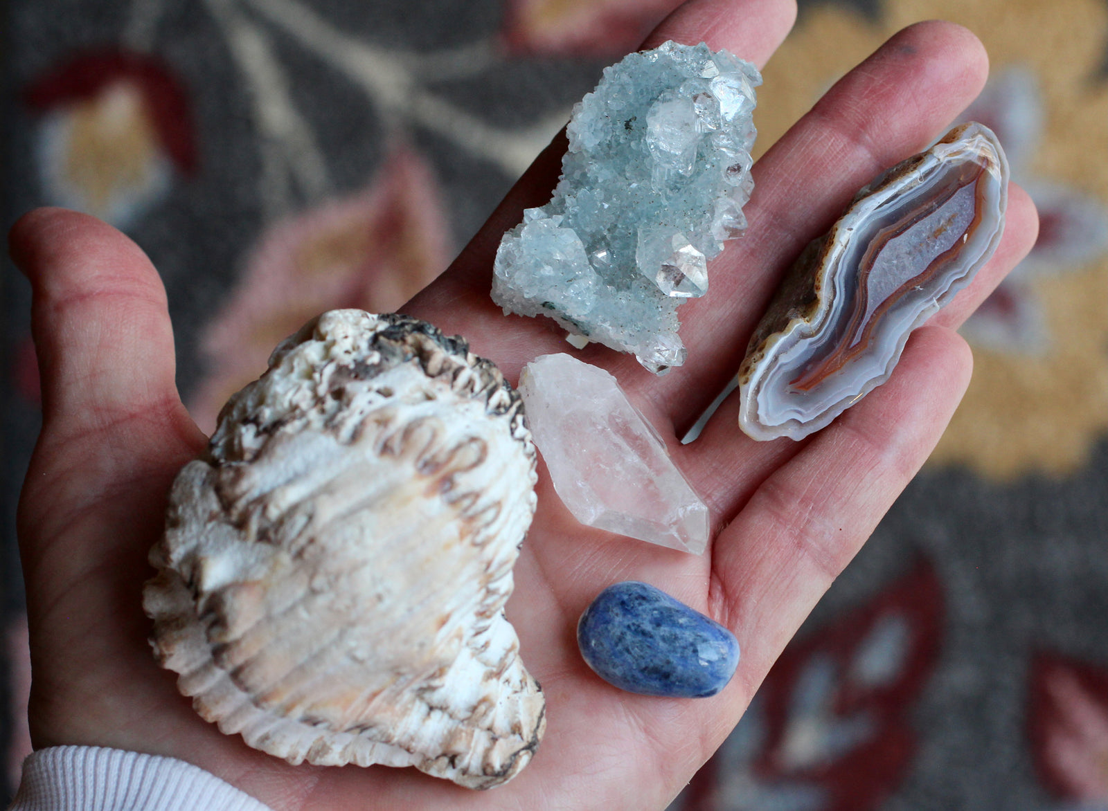 Inner Ocean: A Crystal & Shell Set for Clarity, Intuition & Grounding