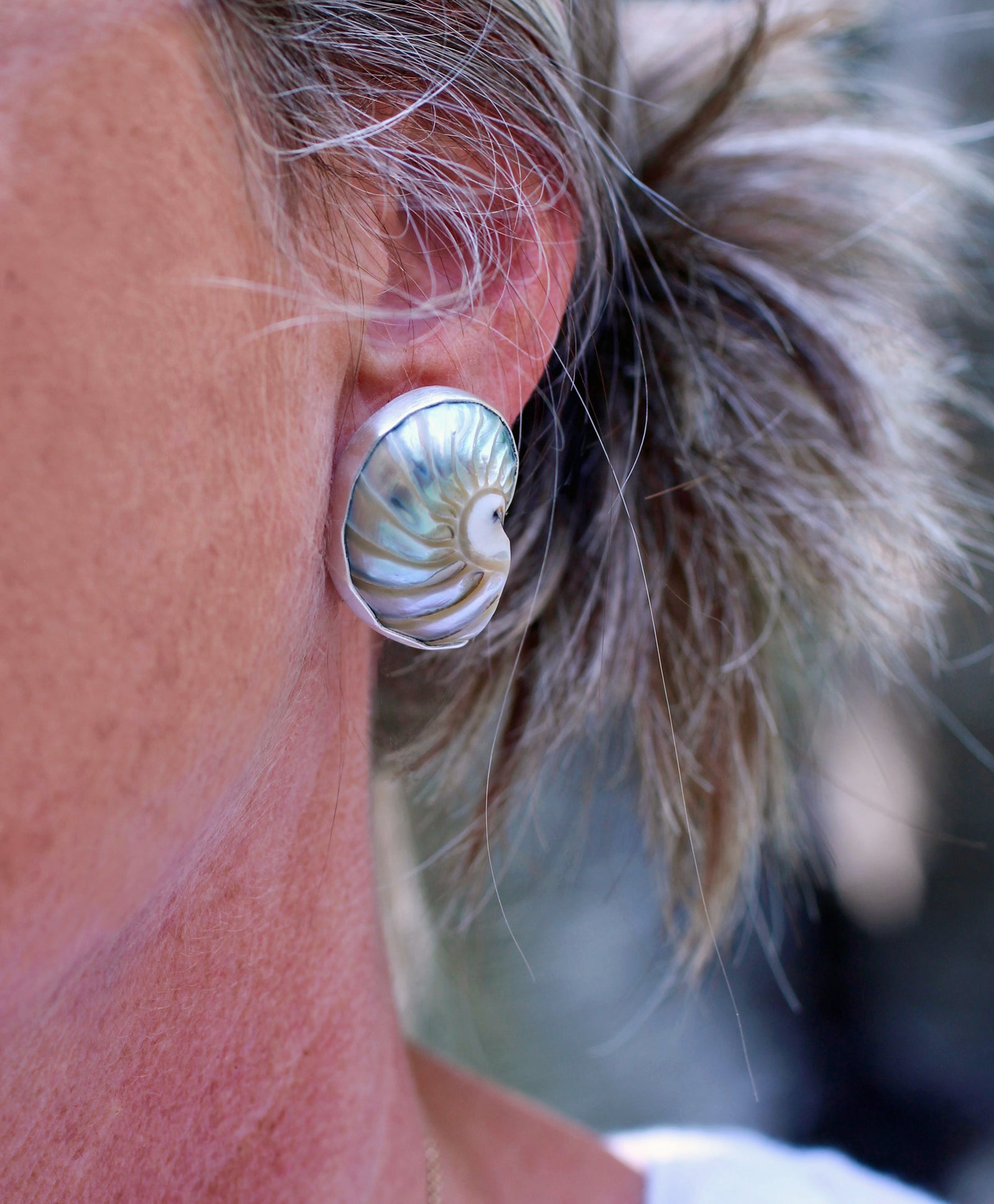 Handmade silver nautilus shell earrings