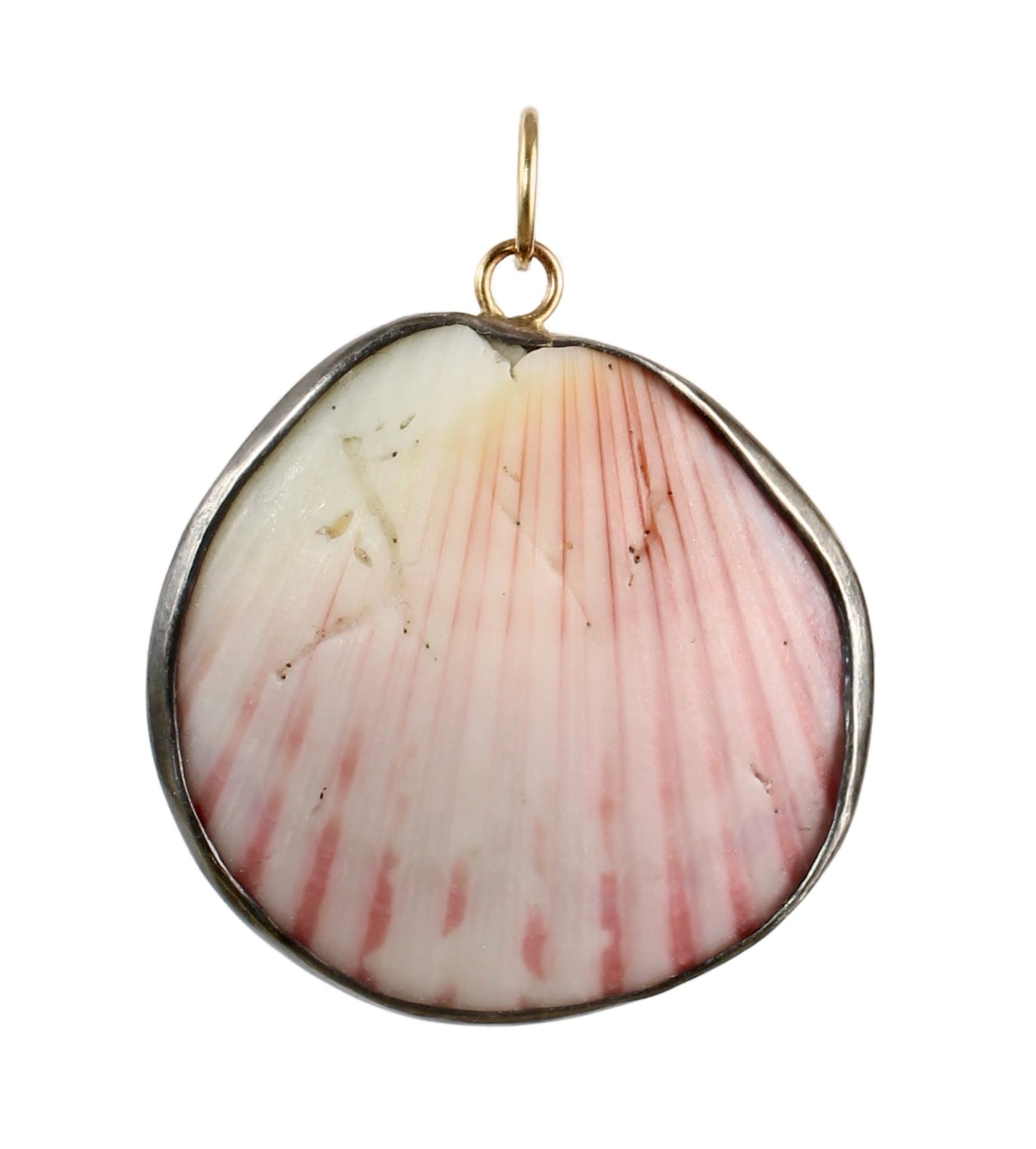 Found Shell Pendant with 14k Gold