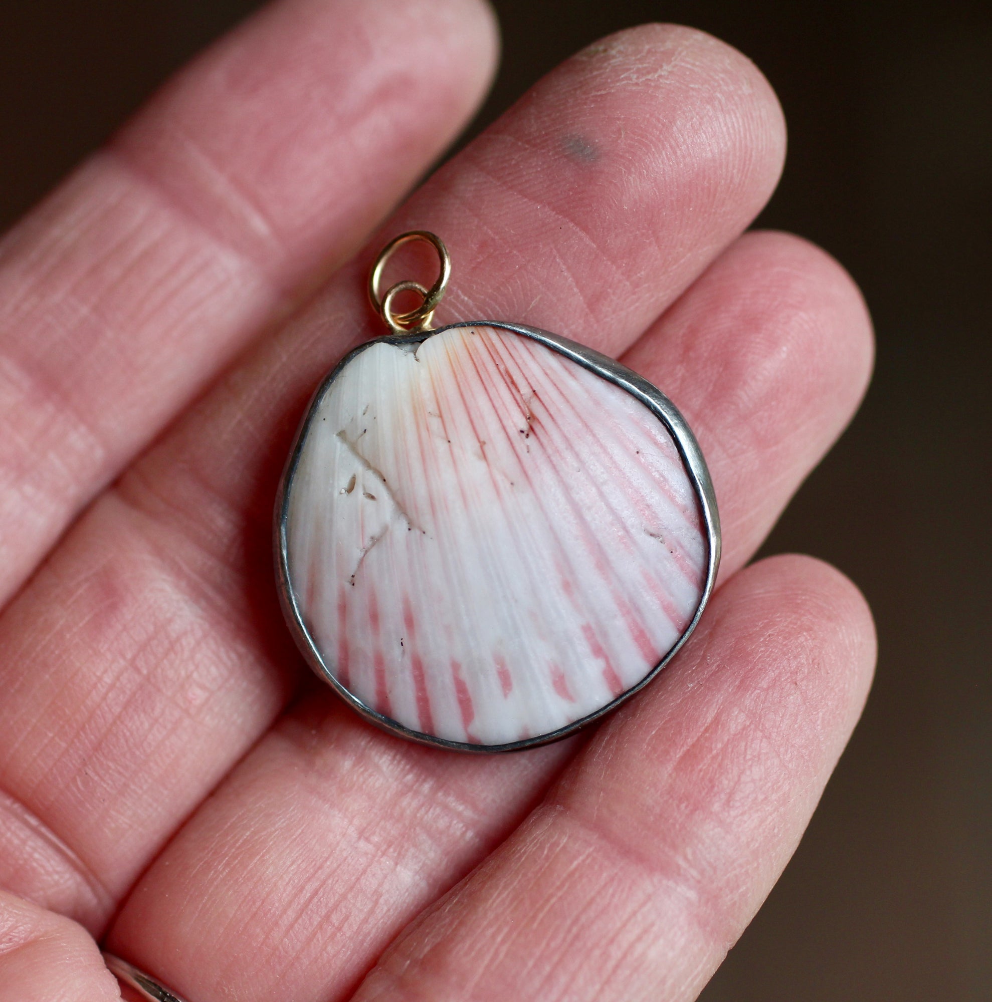 Found Shell Pendant with 14k Gold