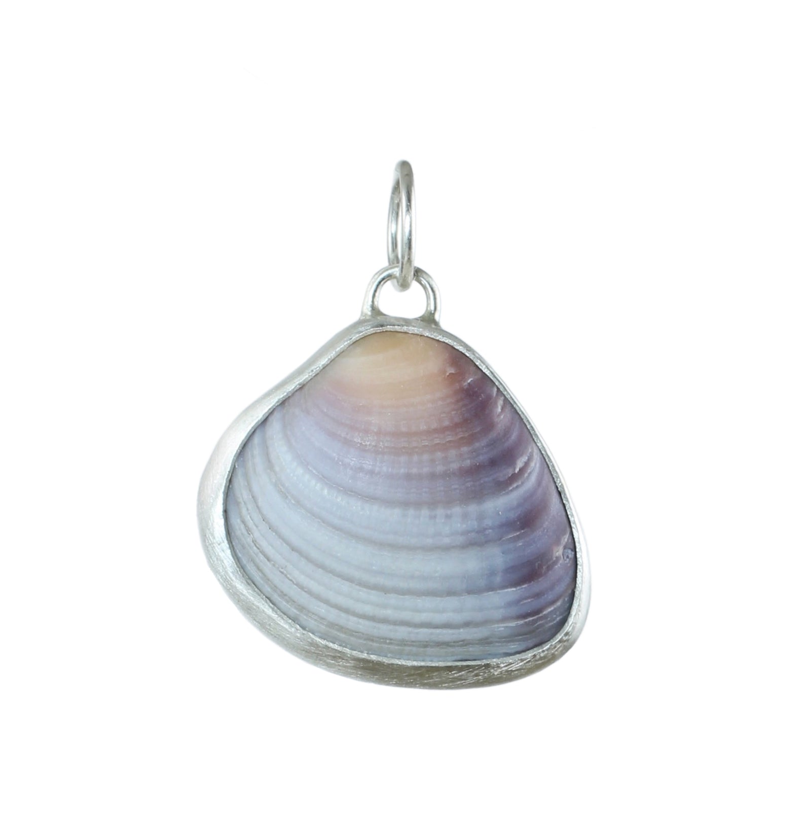 Natural Shell Pendant in Silver