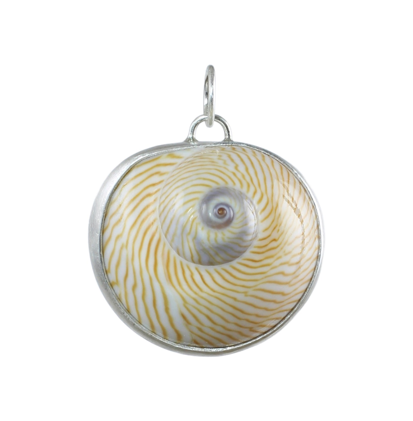 Spiral Shell Pendant in Silver