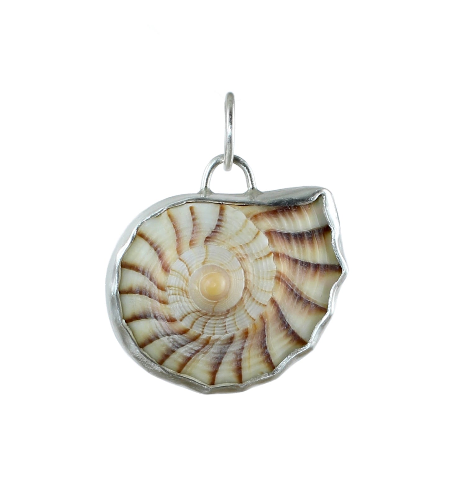 Spiral Shell Top Pendant in Silver