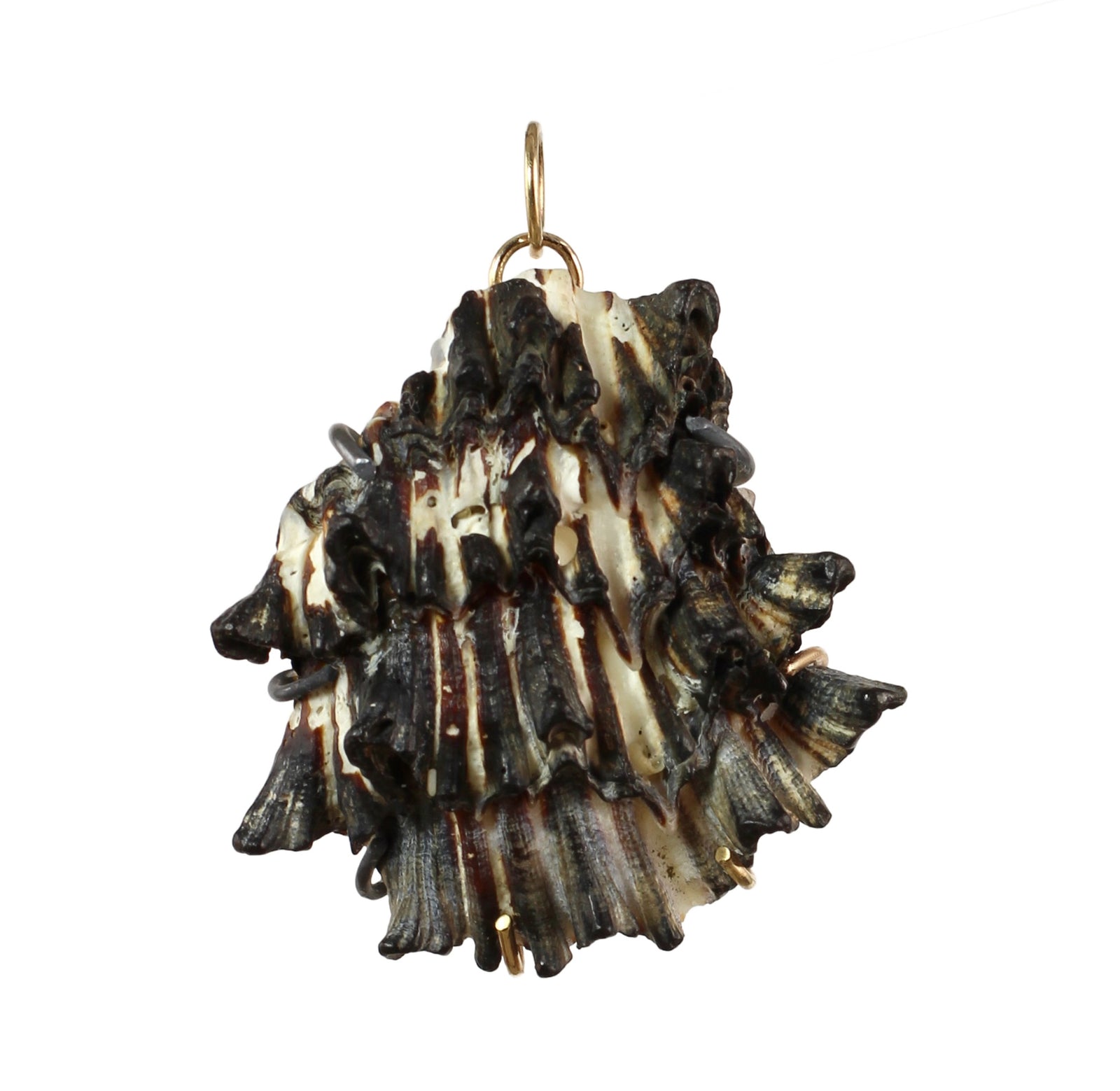 Ebb & Flow Shell Pendant with 14k Gold