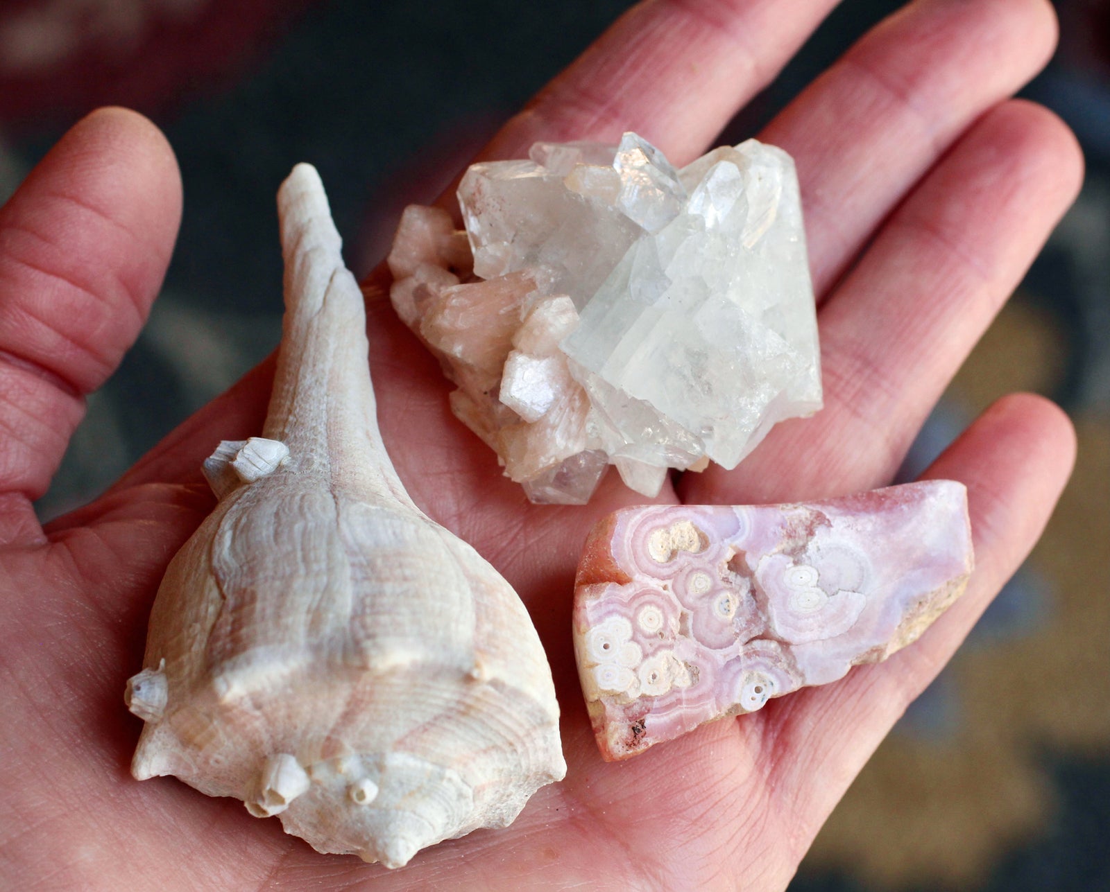 Tide & Tenderness: A Set for Heart Healing, Inner Listening & Gentle Renewal