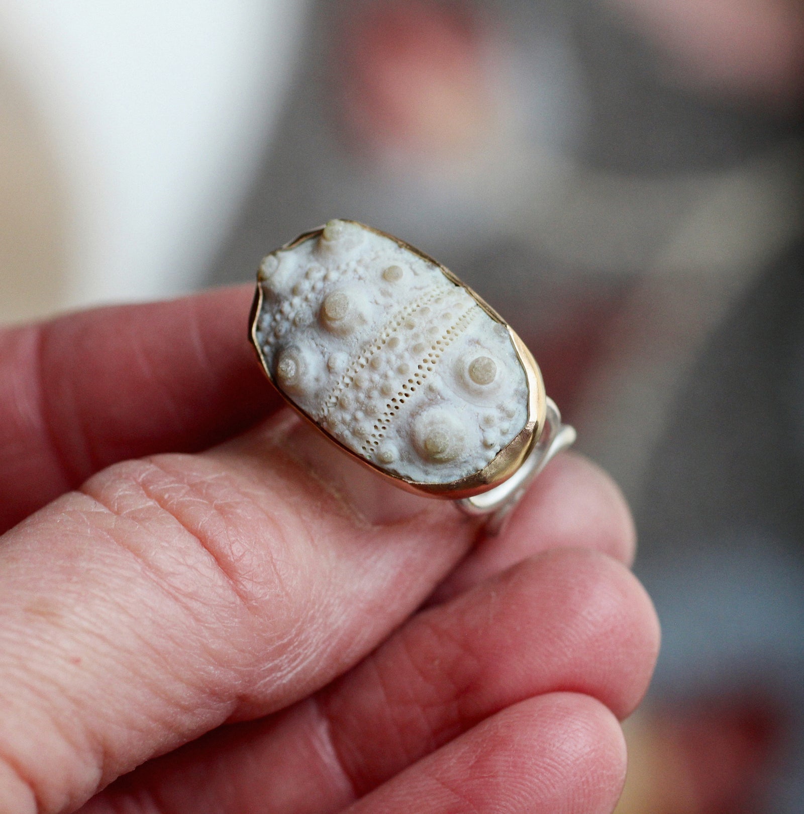 Fossilized Sea Urchin Ring in Sterling Silver & 14k Gold