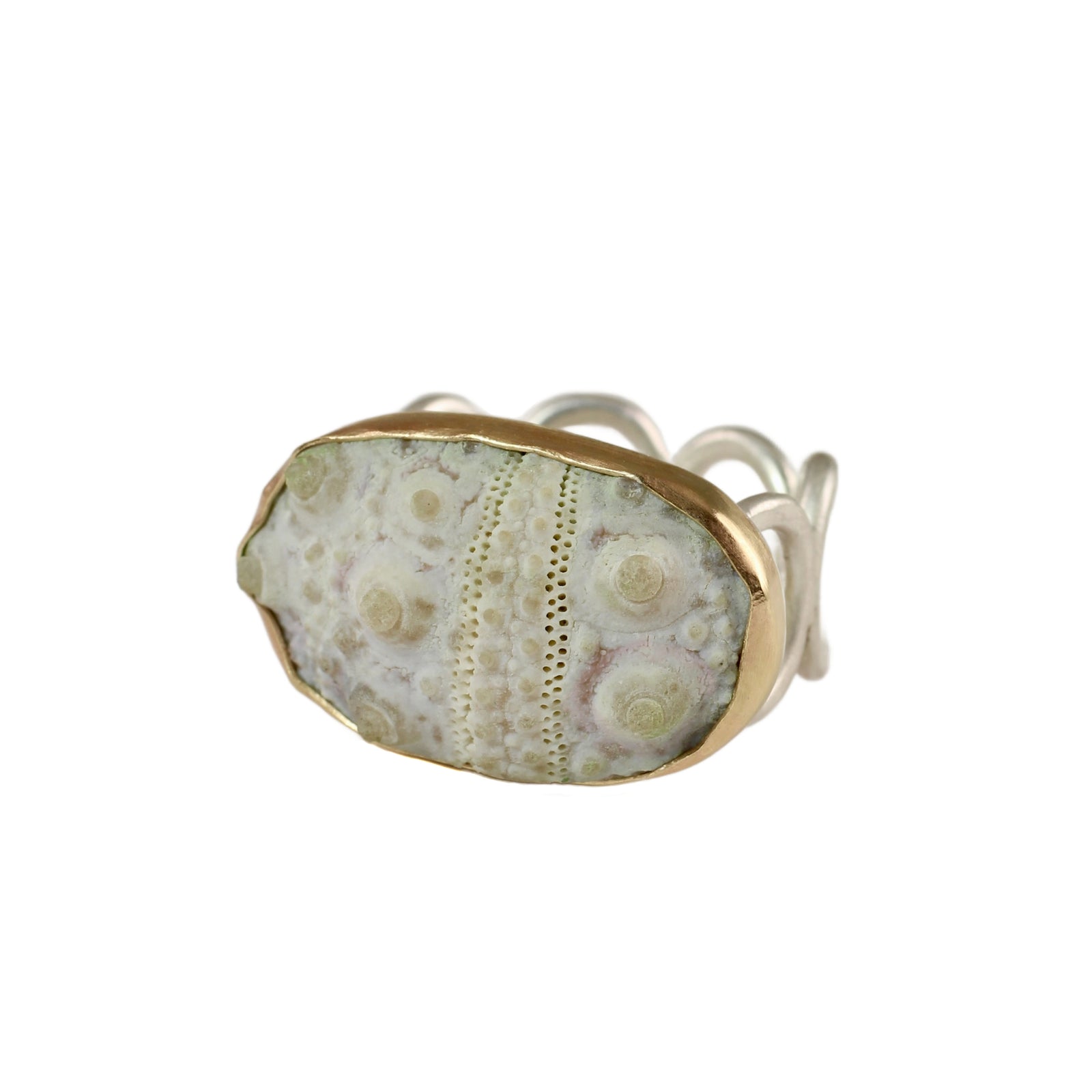 Fossilized Sea Urchin Ring in Sterling Silver & 14k Gold